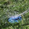imageMelnor 65101AMZ Sprout Metal 8Pattern Sprinkler and QuickConnect Product Adapter Amazon Bundle Gooseberry GreenBlueberry Blue