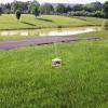 imageMerry Go Round Sprinkler