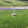 imageMerry Go Round Sprinkler