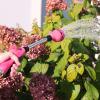 imageSprout 65103AMZ Melnor 8Pattern 15quot Watering Wand and QuickConnect Product Adapter Amazon Bundle Raspberry Red