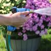 imageSprout 65120AMZ Metal Rear Trigger Adjustable Nozzle with QuickConnect Product Adapter Amazon Bundle Blueberry BlueBlueberry Blue